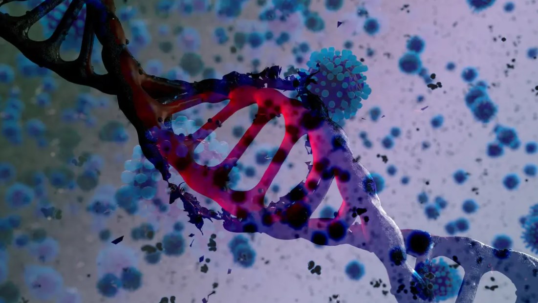 النسور: إصابات كورونا في الأردن من