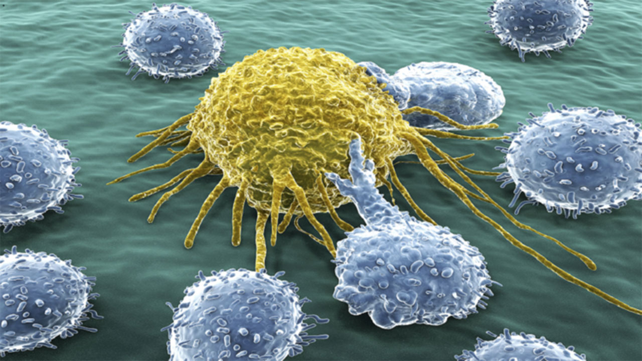 أعراض شائعة تدل على وجود الخلايا