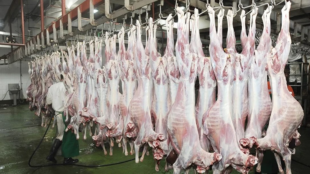 منع إجازة 29.218 طن من الذبائح