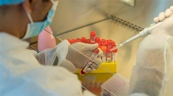 دراسة هندية ترجح أن تكون سلالة