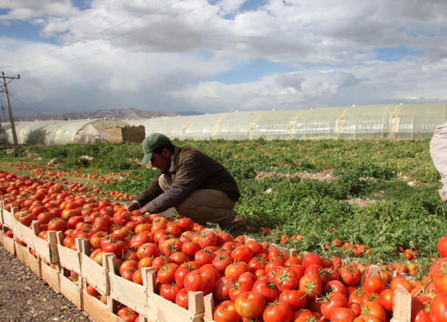 4 محاور لقروض حزمة مشاريع دعم