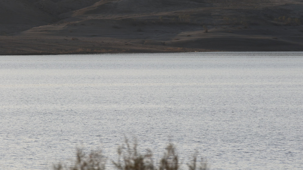 وادي الأردن: تشكيل فريق لمعرفة كيفية