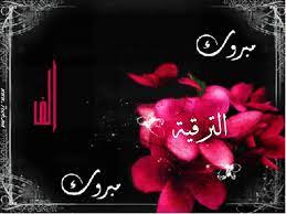 الزيادات يبارك للمحاميد