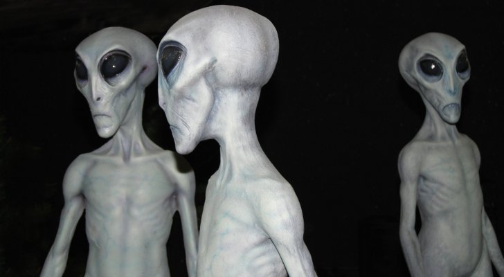 باحث: لم يثبت أي دليل يؤكد