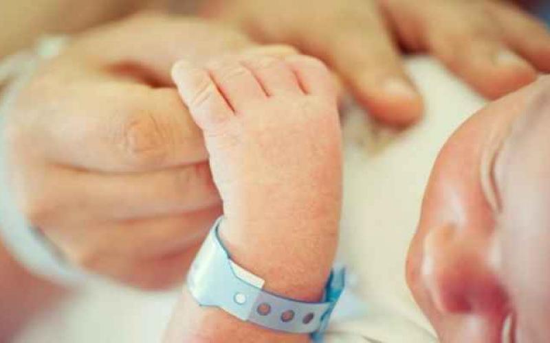 انخفاض أعداد المواليد بالأردن
