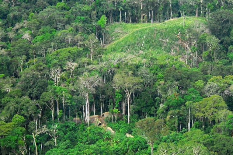 العثور على ثمانينية حية تاهت في