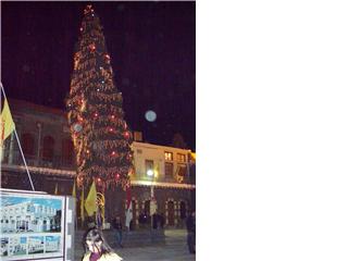 اطول شجرة عيد ميلاد طبيعية في