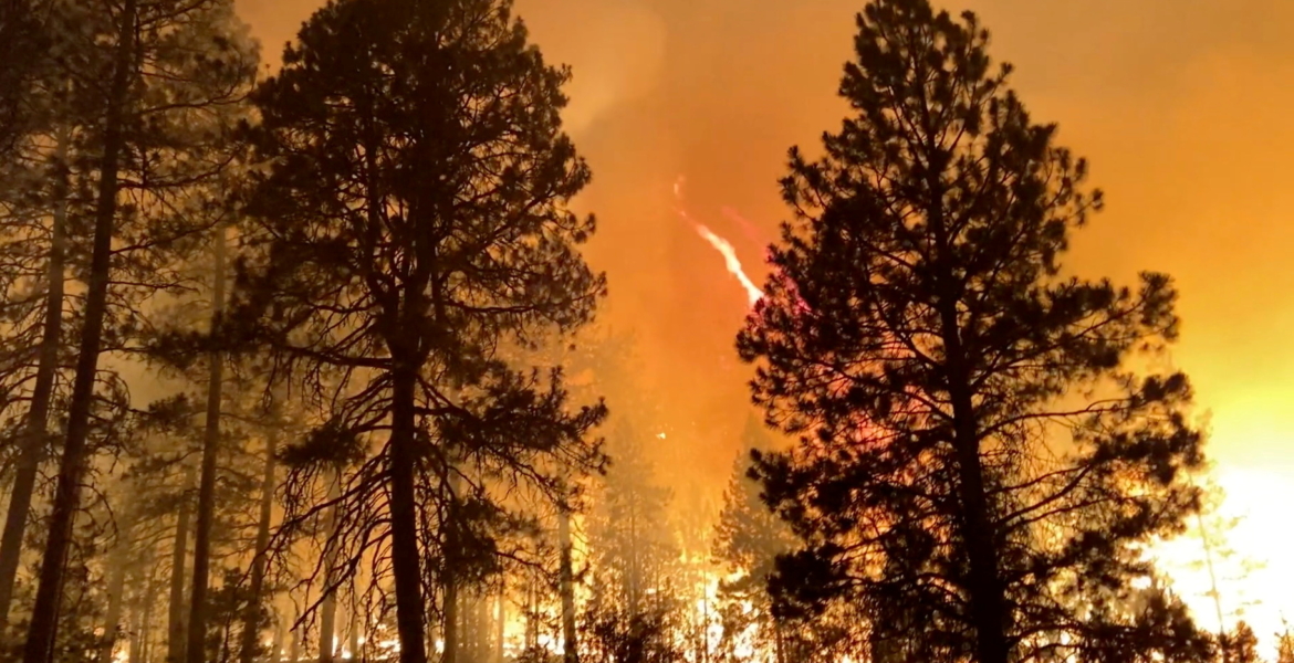 يلتهم مساحة ملعب كرة قدم كل