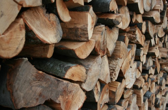 الزراعة بصدد اعفاء مادة الاخشاب والاحطاب