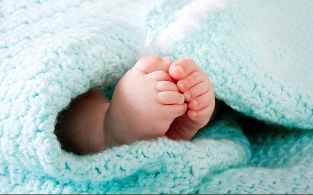 عدي فهد البياري.. مبارك قدوم كرم