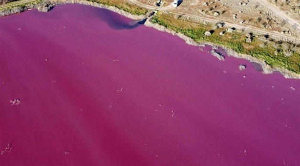 بحيرة في باتاغونيا الأرجنتينية تتلون بالزهري