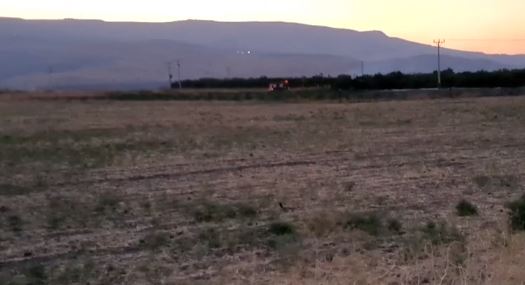 حريق كبير في منطقة الباقورة الأردنية