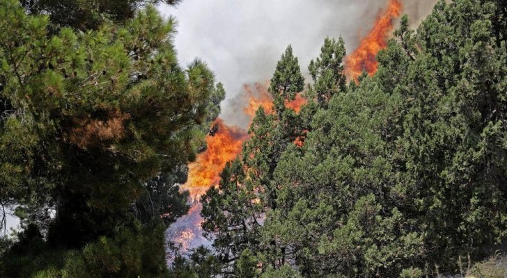 لبنان.. حرائق مستعرة في عكار وخسائر