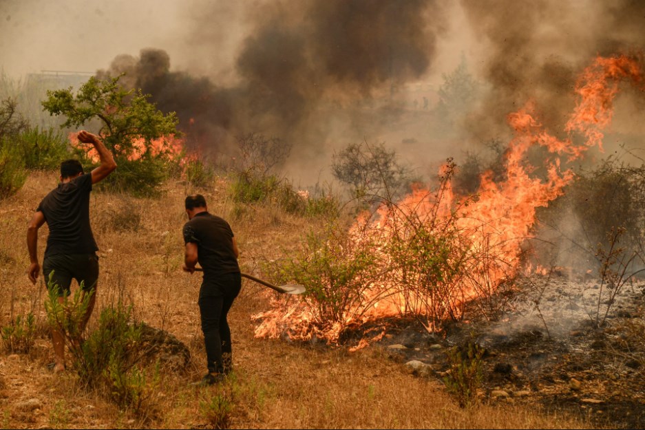 الأردن يعزي بضحايا حرائق الغابات في