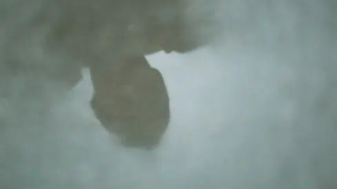 الفردانية وأزمة الانسان المعاصر