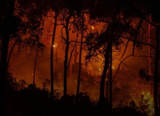 حاجة عاجلة وملحة لمركز وطني لدراسات