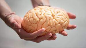 اختبار ضوئي يكشف الإصابة بالزهايمر