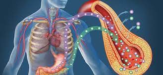 علامات تدل على صعوبة خسارة الوزن