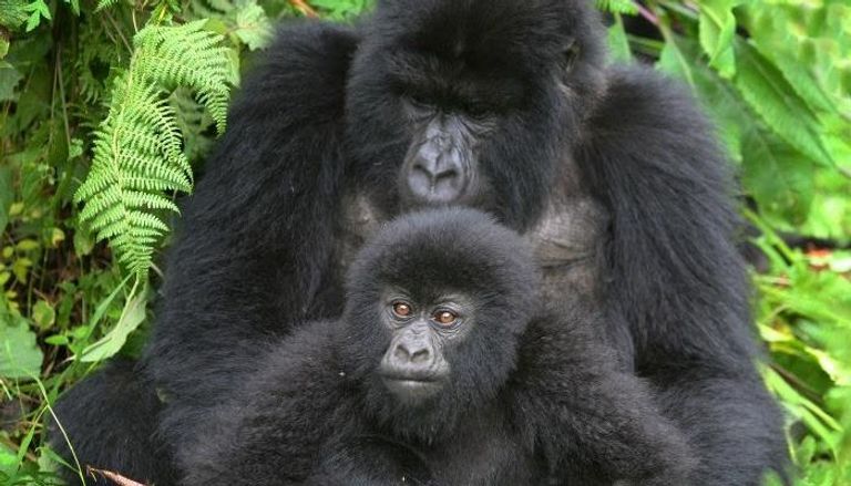 بـ5 محطات.. دعوة مفتوحة لمغامرات مثيرة