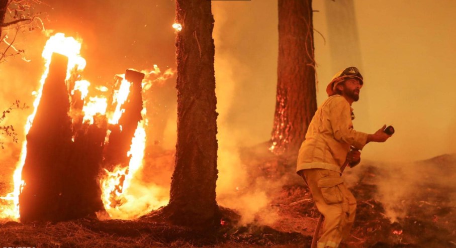 حرائق العالم.. حوض البحر المتوسط يشتعل