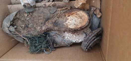 مصدر عسكري أردني: سيتم الإعلان لاحقا