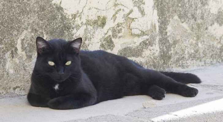 سفاح يقتل أكثر من 1634 1632