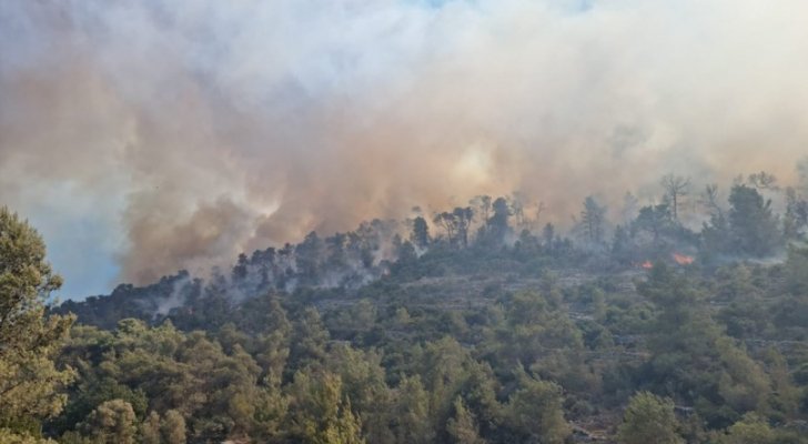 حريق كبير في جبال القدس وإخلاء