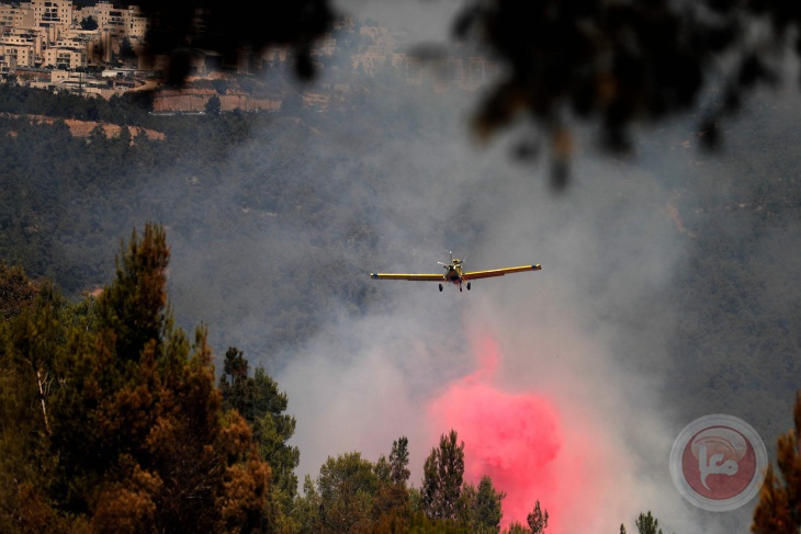 تجدد الحريق بغابات القدس والنيران تشتعل