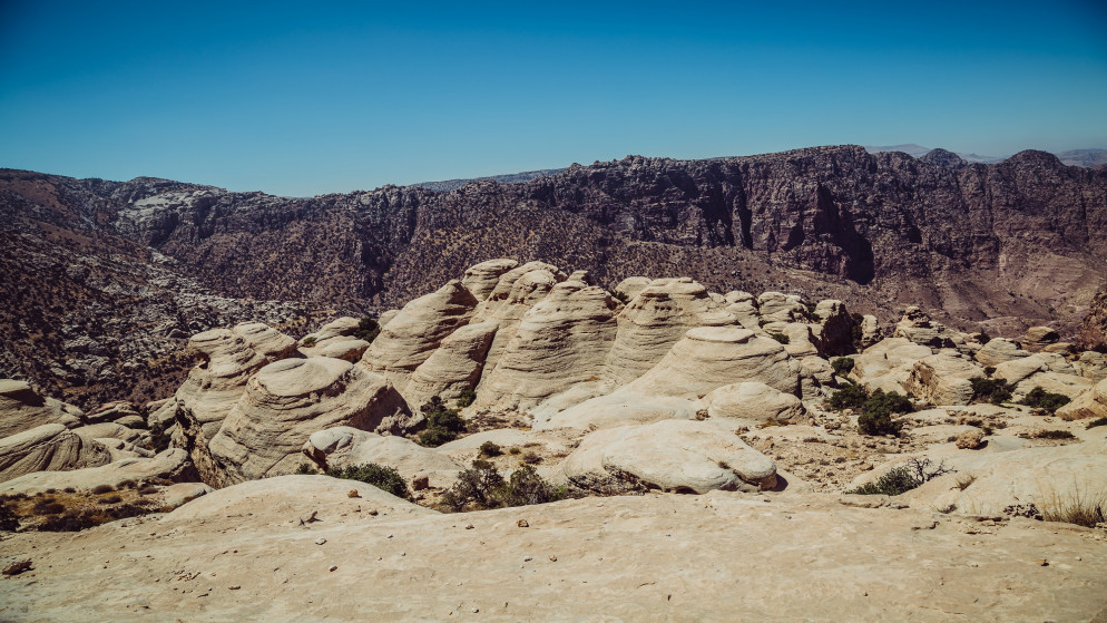 وزارة الطاقة: دراسات تشير لوجود أكثر