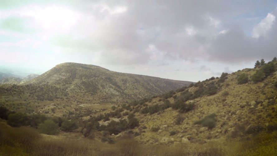 «حماية الطبيعة» تعلق على بيان وزارة