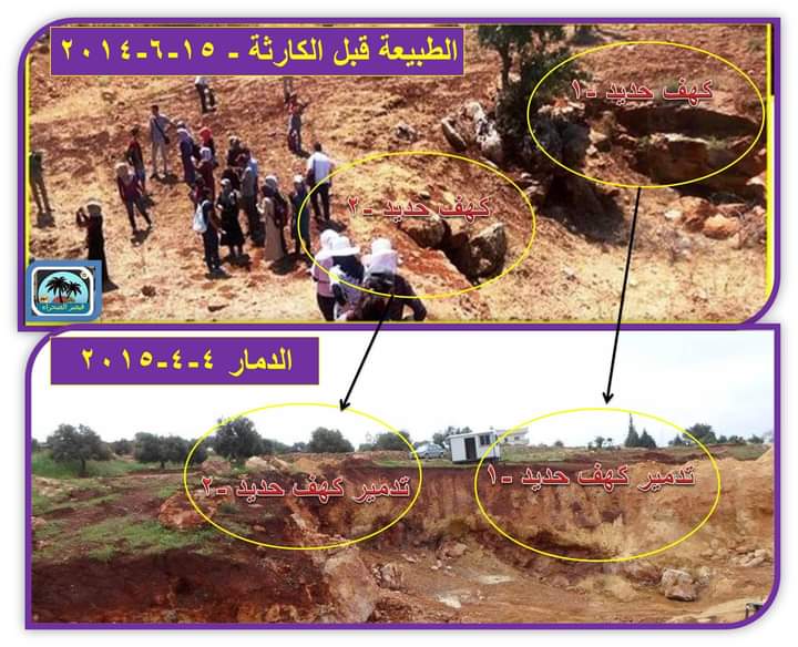 البروفيسور ملاعبة يكتب: حماية حديد وردة..