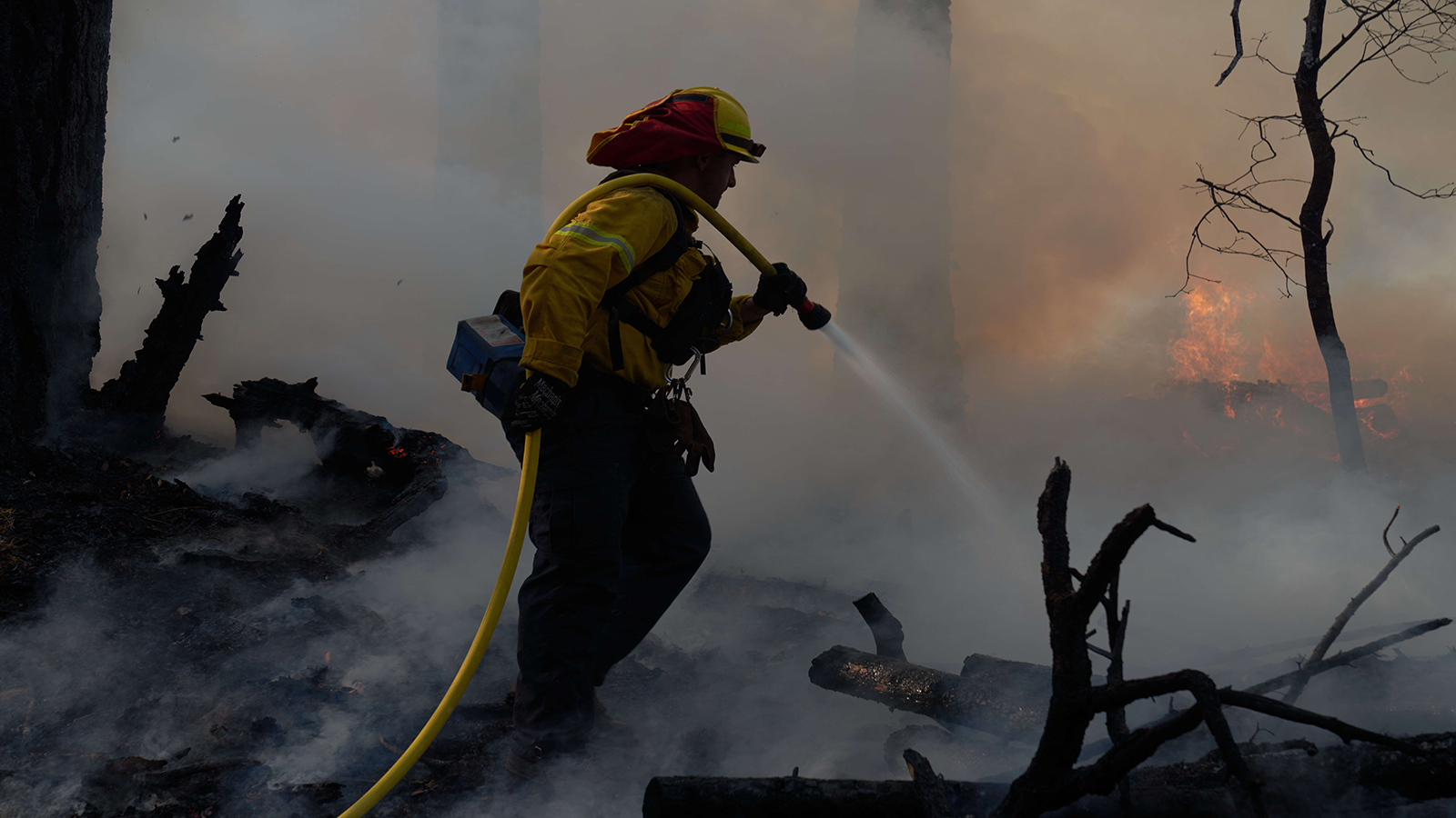 دمار شامل لحرائق الغابات في كاليفورنيا..