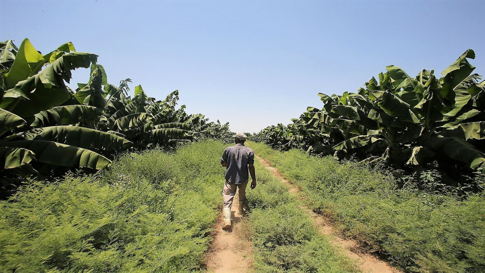 وزارتا البيئة والزراعة توقعان 17 اتفاقية