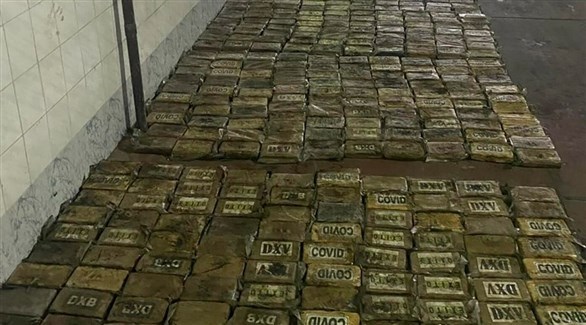 داخل شحنة موز.. ضبط أكثر من