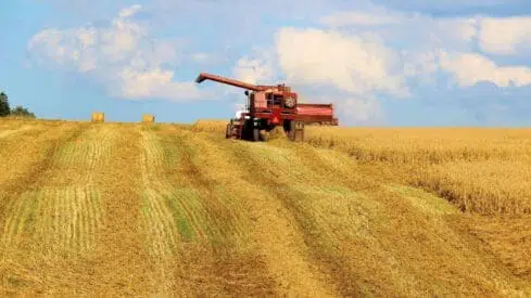 هل حثّ الاسلام على الزراعة؟ وكيف؟