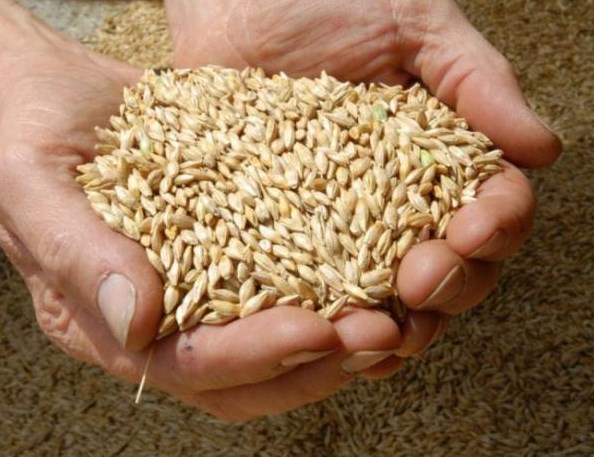 الأردن يطرح مناقصة لشراء 120 ألف