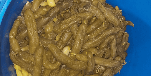 ضبط مخلل فاسد بالزرقاء (صور)