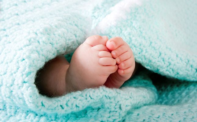 نايف وشذى المجالي يرزقان بـ (ذاكر)