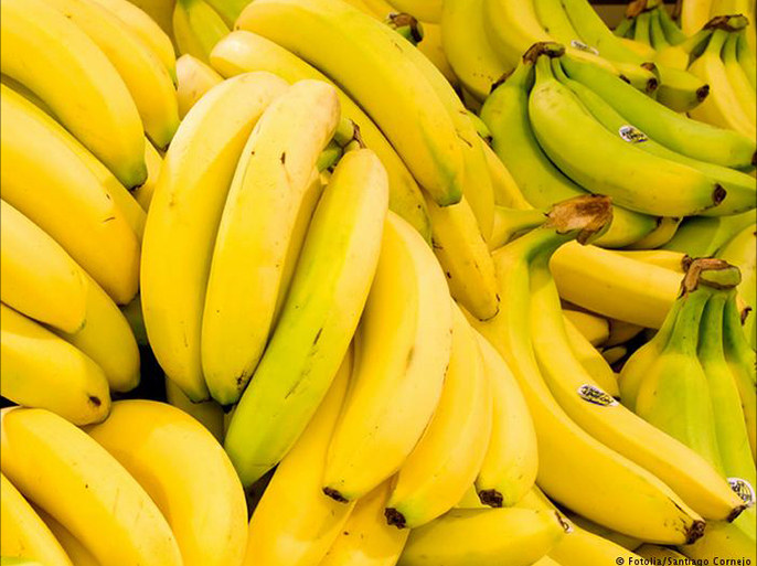 مزارعو الموز يشكون اغراق السوق بالمستورد