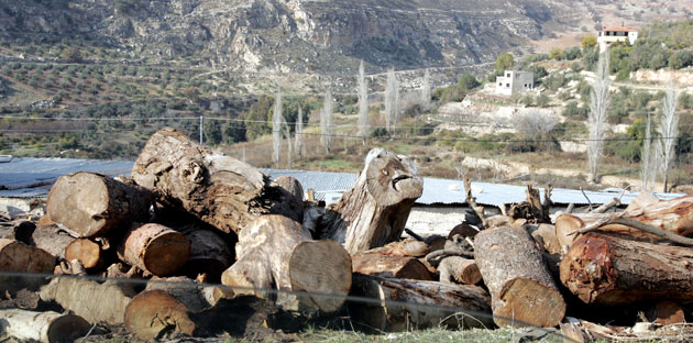 “الزراعة” توجه بتوزيع أحطاب غابات جرش