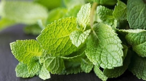 وداعا للتصبغ.. مع تونر النعناع