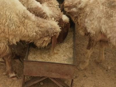 فتح باب التظلم حول قرار تخفيض