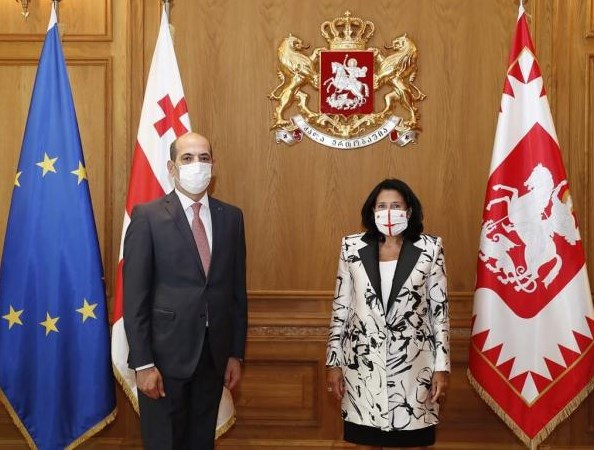 الرئيسة الجورجية تتقبل أوراق اعتماد السفير