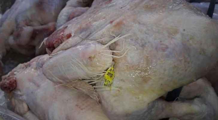 الغذاء والدواء: لا وجود لدجاج فاسد