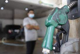 الشوبكي: الحكومة تتقاضى 55% من كل