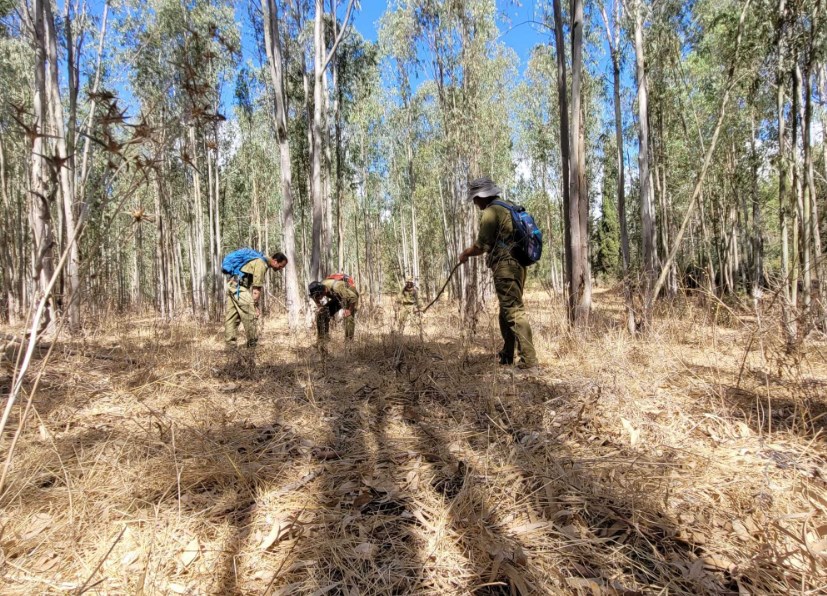 الجيش الإسرائيلي: 3 جنود في وحدة