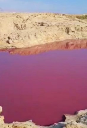 البروفيسور الملاعبة يكشف: سبب واحد لتلوين