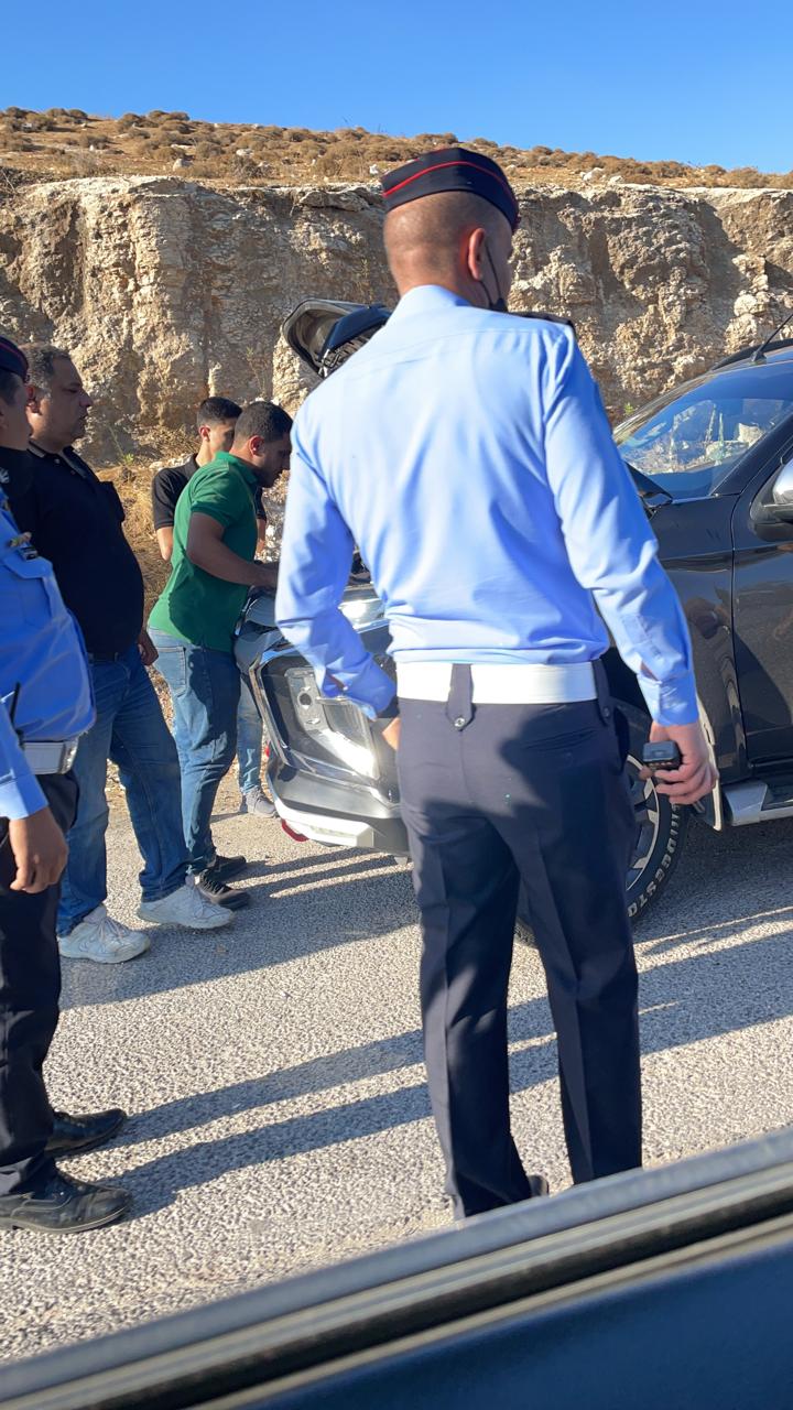 إذا غاب القط.. تعطلت الكاميرا في