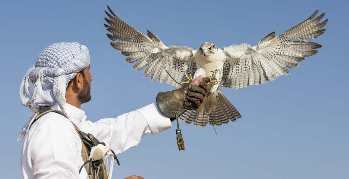اصطياد الطيور النادرة بالمغرب.. سياحة تستهوي