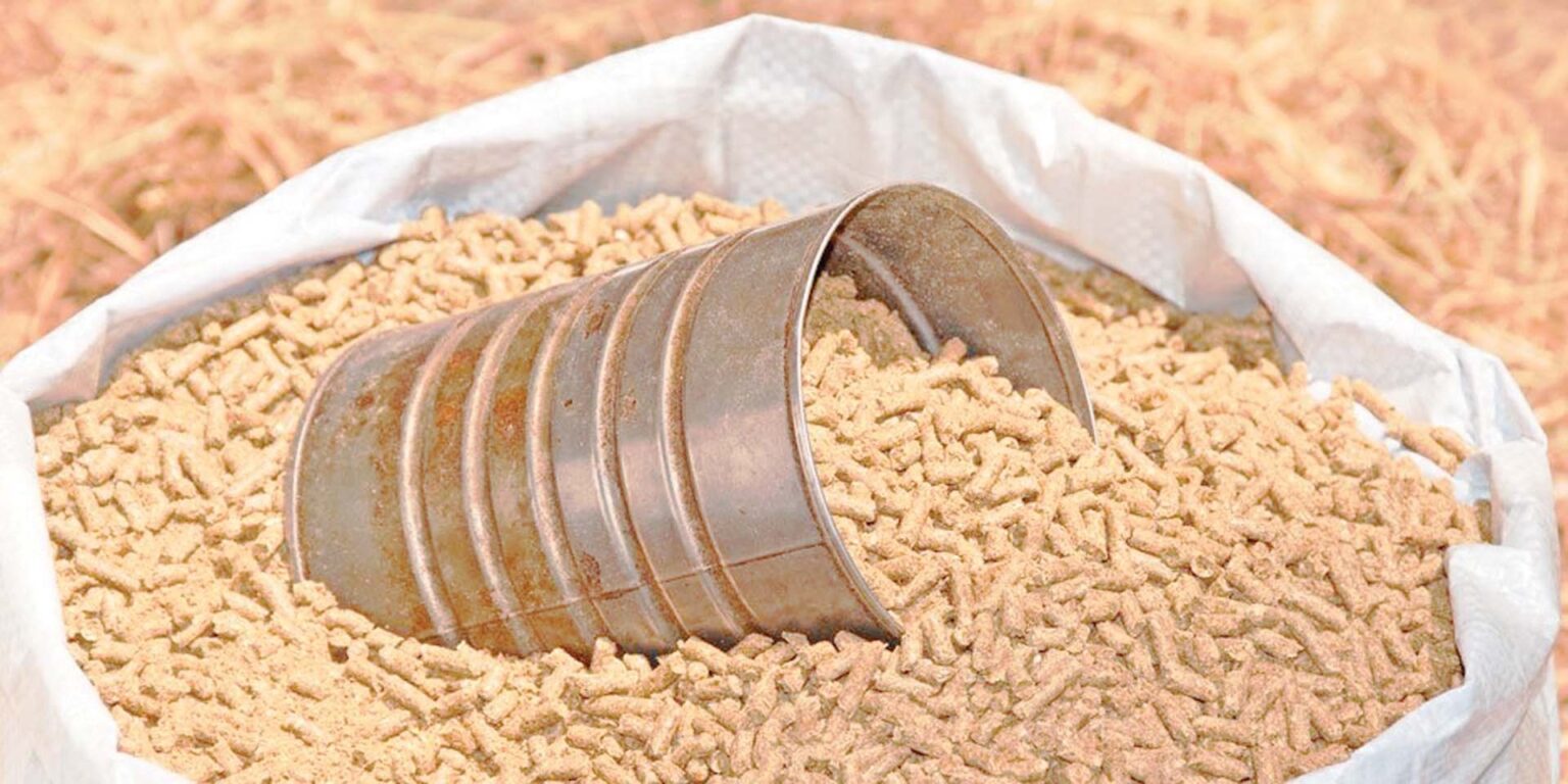 خبير: تحويل النفايات الغذائية إلى أعلاف